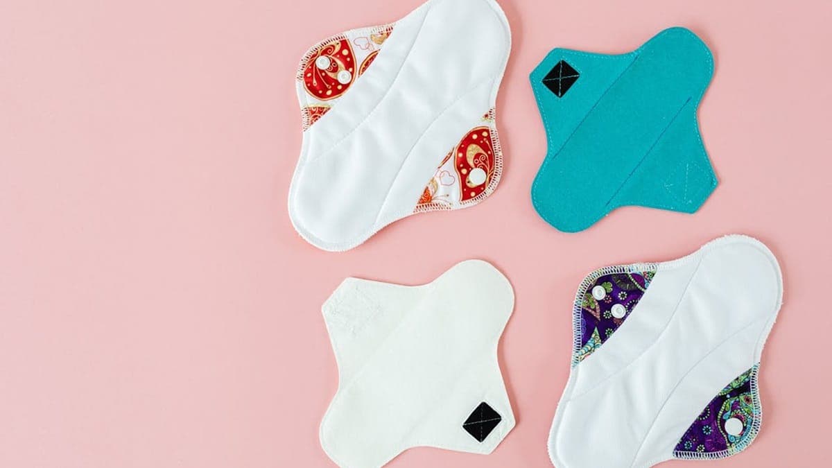 Pads & Pals menstrual-hygiene project photo